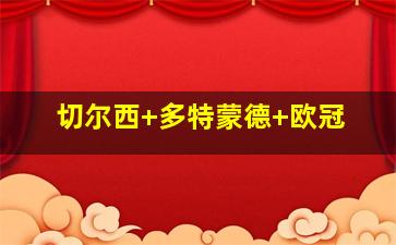 切尔西 多特蒙德 欧冠